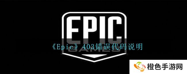 《Epic》403错误代码说明