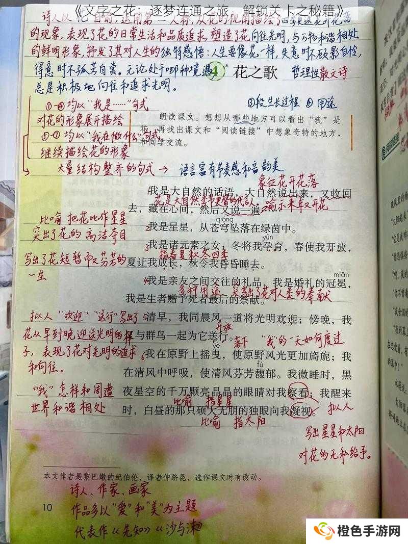 《文字之花：逐梦连通之旅，解锁关卡之秘籍》